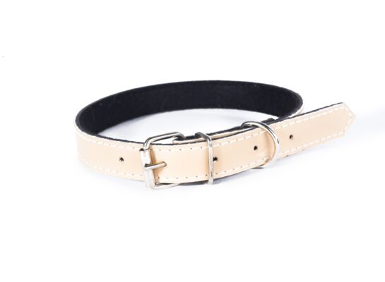 Obroża dla psa beżowa 14 x 30 Wika