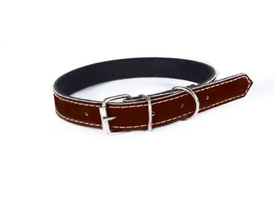 Obroża dla psa brązowa 16 x 45 Wika