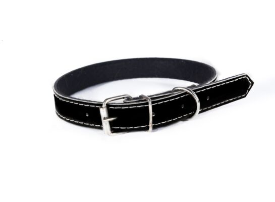 Obroża dla psa czarna 25 x 65 Wika