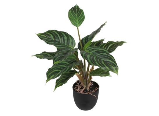 Sztuczny kwiat w doniczce AGLAONEMA 35 cm