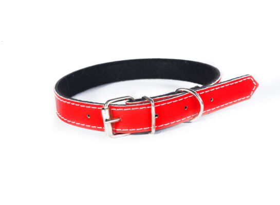 Obroża dla psa czerwona 40 x 75 Wika