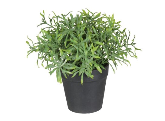 Sztuczny kwiat w doniczce HERBS 1 20 cm zielony
