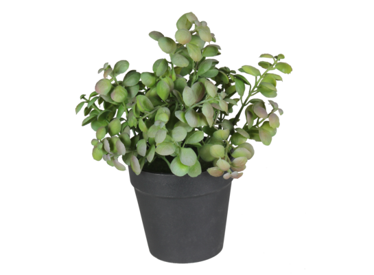 Sztuczny kwiat w doniczce HERBS 2 20 cm zielony
