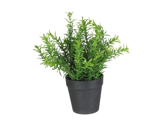 Sztuczny kwiat w doniczce HERBS 3 22 cm zielony