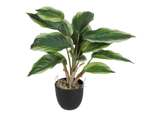 Sztuczny kwiat w doniczce SKRZYDŁOKWIAT 35 cm