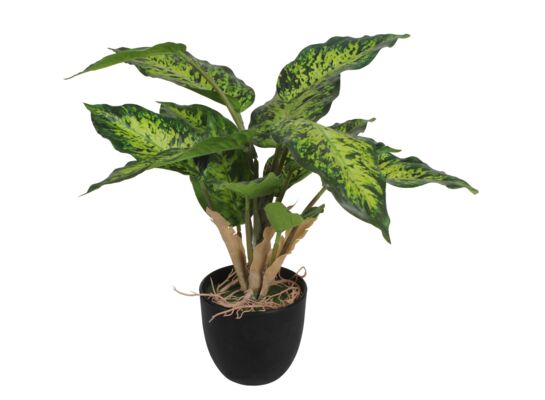 Sztuczny kwiat w doniczce DIFENBACHIA TROPIC 35 cm