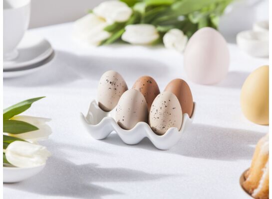 Tacka na 6 jajek regular