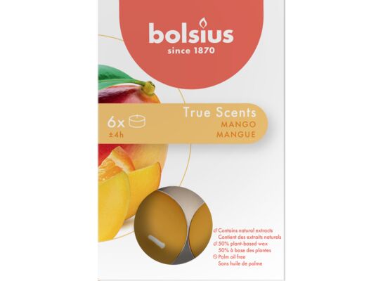 Podgrzewacz zapachowy 4h EE TS mango 6 szt.