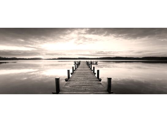 Obraz CANVAS SILVER1 60 x 150 x 2,8 cm EX516 SEPHIA MOLO