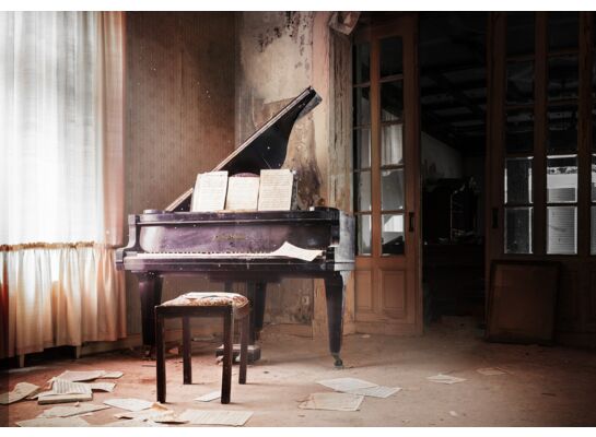 Obraz CANVAS SILVER 85 x 113 cm ST613 PLUM PIA