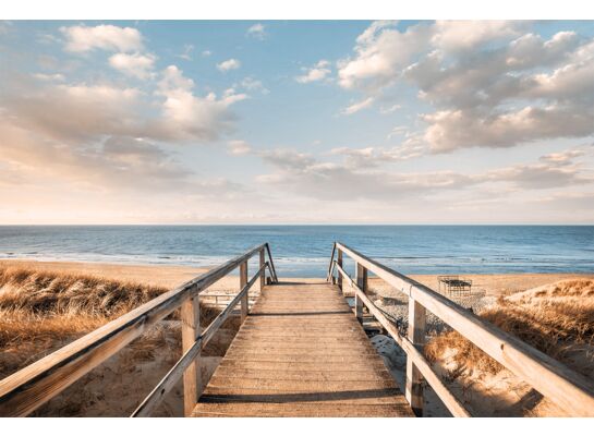 Obraz GLASSPIK 80 x 120 cm GL402 SUNNY