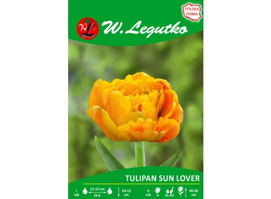 Tulipan Sun Lover żółty