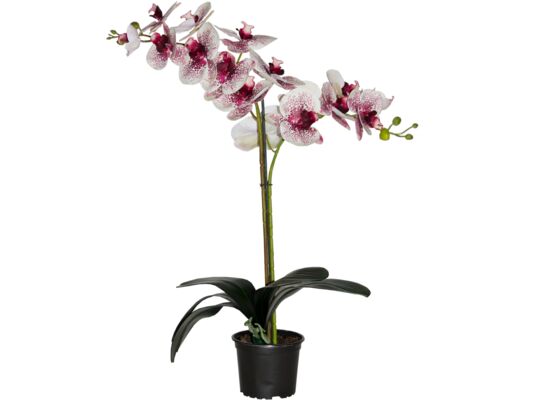 Storczyk sztuczny premium 18 kwiatów 80 x 12 cm