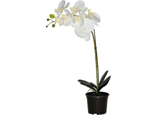 Storczyk sztuczny premium 7 kwiatów 70 x 12 cm