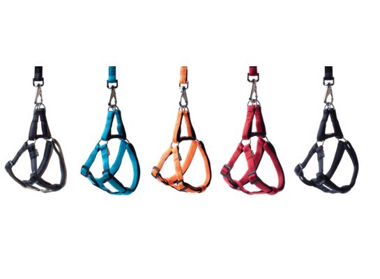 Szelki Soft Style S 1,0 cm mix