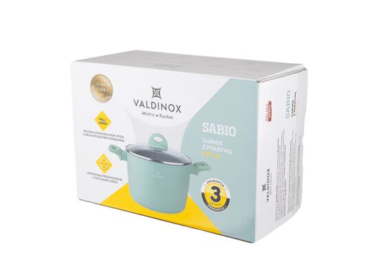 Garnek 24 cm z pokrywą 6l Valdinox Sabio