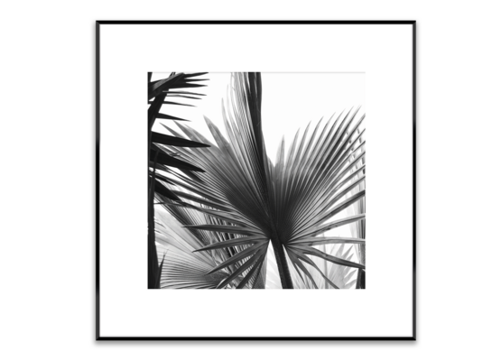 Obraz Artbox 50 x 50 cm AB082 LEAVES