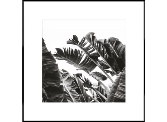 Obraz Artbox 50 x 50 cm AB080 BANANA