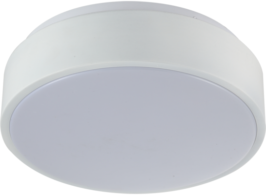 Plafon LED RENE 28 15W 900lm 4000K biały
