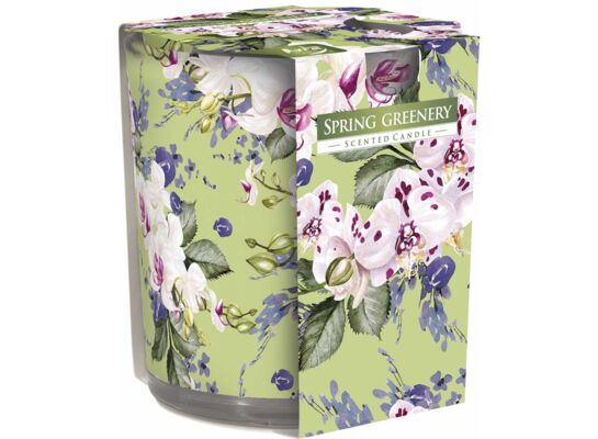 Świeca zapachowa w szkle SN72S-52 wiosenna zieleń BISPOL