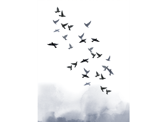 Plakat 30 x 40 cm Ptaki Niebieskie