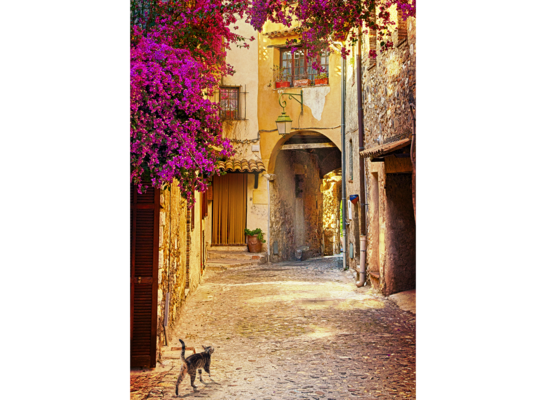 Obraz 50 x 70 cm Uliczka