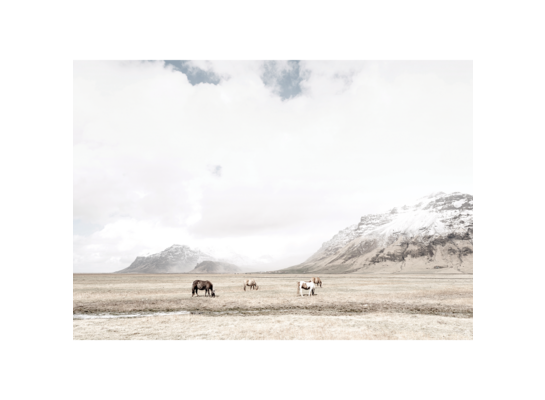 Plakat 21 x 30 cm Step