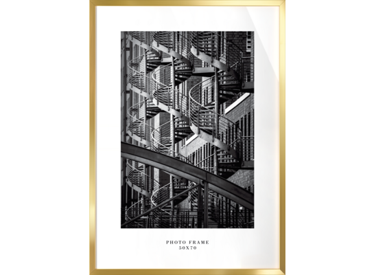 Ramka na zdjęcia Floryda 50 x 70 cm złoty