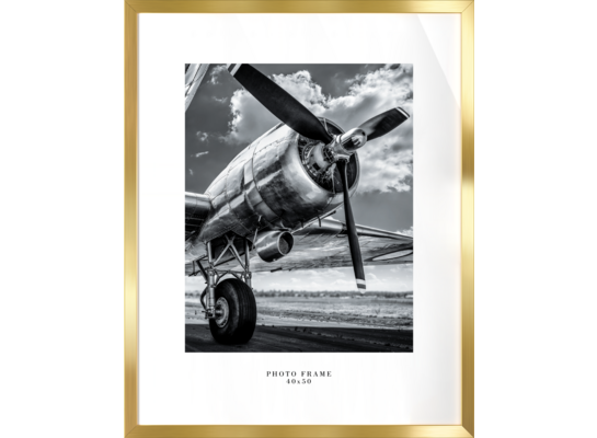 Ramka na zdjęcia Floryda 40 x 50 cm złoty