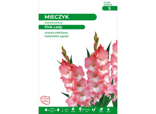 Mieczyk  Pink Lady 100-120 cm 12/14 biało-różowy