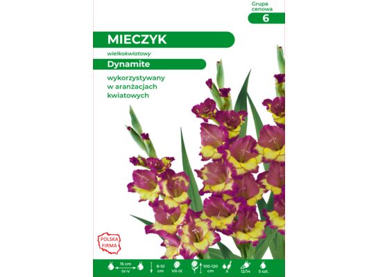 Mieczyk Dynamite 100-120 cm 12/14 fioletowo-żółty