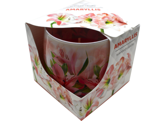 Świeca szklanka powlekana 100 g amarylis