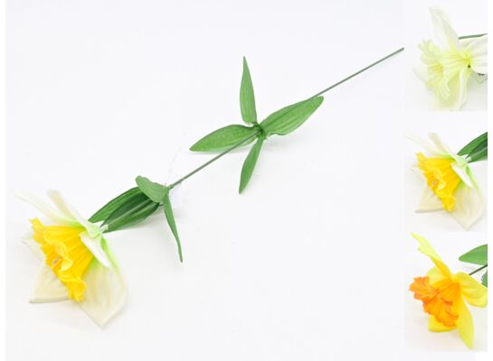 Żonkil pojedynczy 45 cm