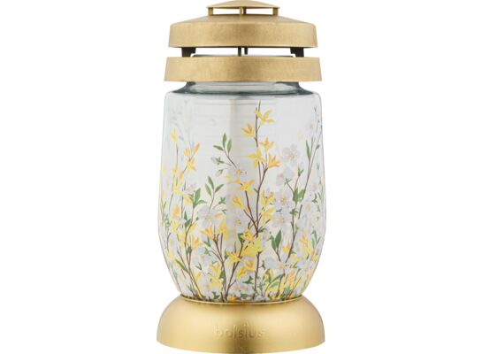 Lampion 3S 14 Forsycja GOL