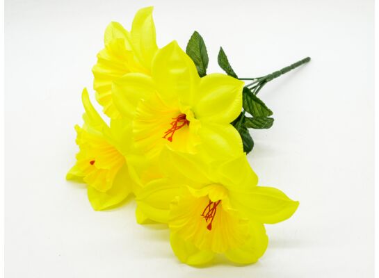 Żonkil bukiet 5 sztuk