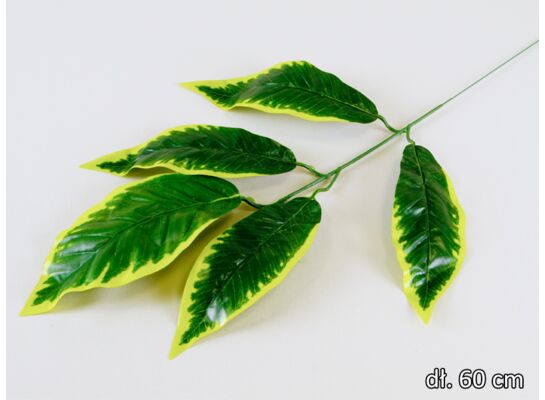 Liść mango gałązka 60 cm