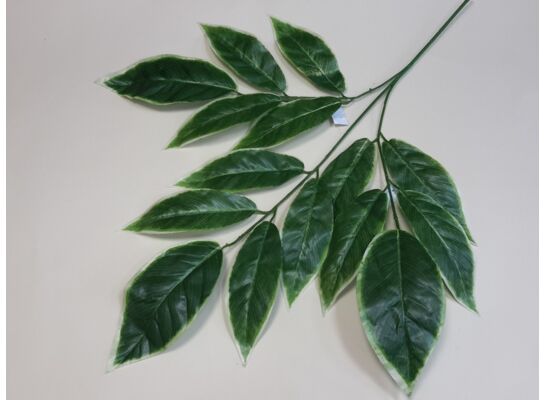 Liść mango gałązka 76 cm
