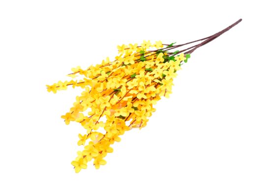 Forsycja bukiet 60 cm