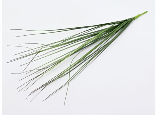 Trawa na piku 53 cm