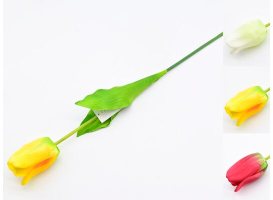 Tulipan pojedynczy mix kolorów 61 cm