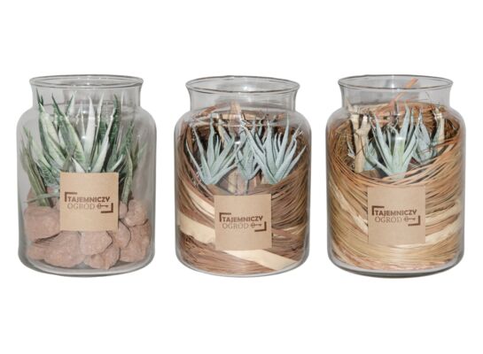 Kompozycja naturalna las w szkle 16 cm