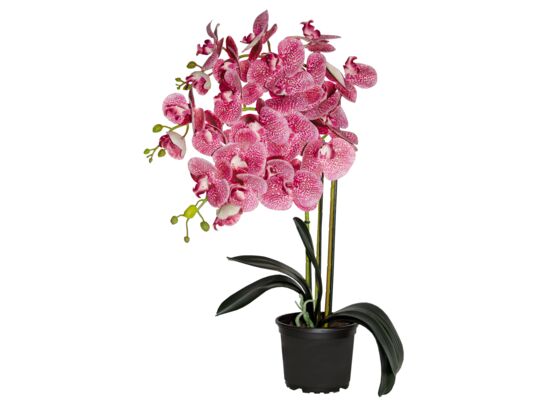 Storczyk sztuczny 3 pędy 80 cm 9062