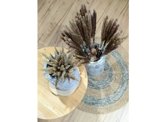 Trawa pampasowa 140 - 160 cm 3 sztuk