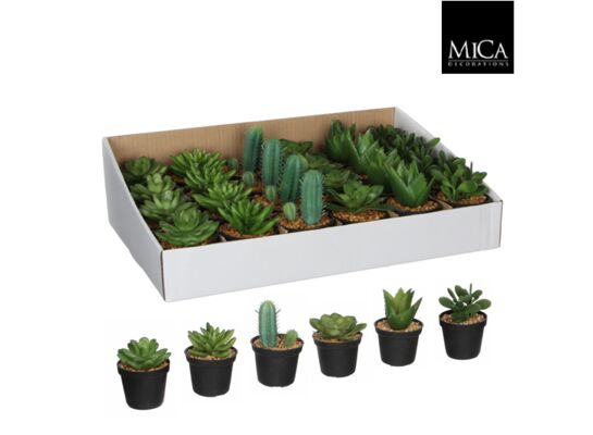 Sukulent w doniczce mix 6 wzorów 11 x 7 cm 1 szt.