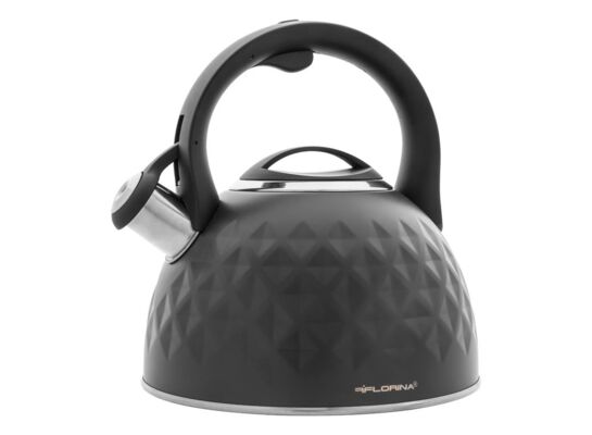 Czajnik nierdzewny DIAMANTE 3,1 l szary