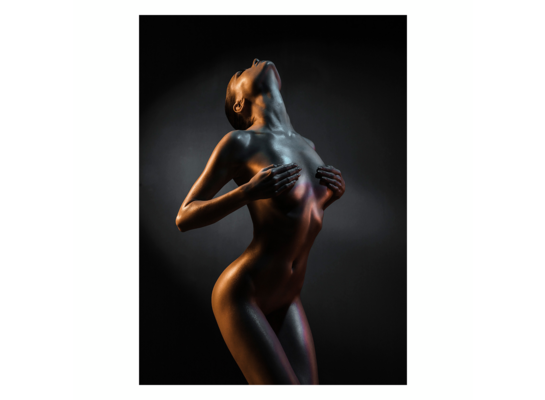 Obraz CANVAS SILVER 70 x 100 cm ST653 ACT