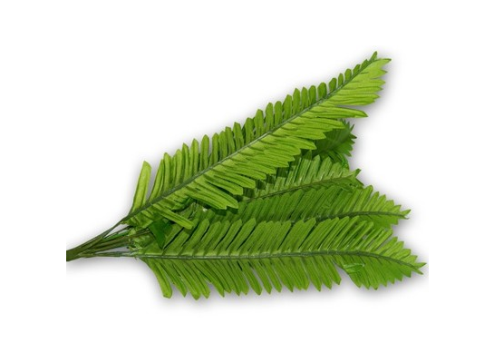 Bukiet  liści paproci 45 x 18 cm A1-P18G14