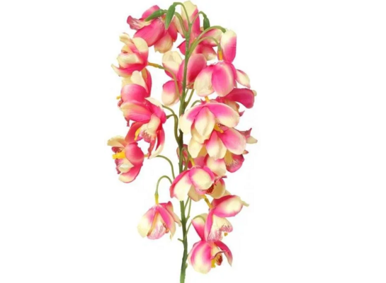 Gałązka storczyka dzwonkowatego 84 cm