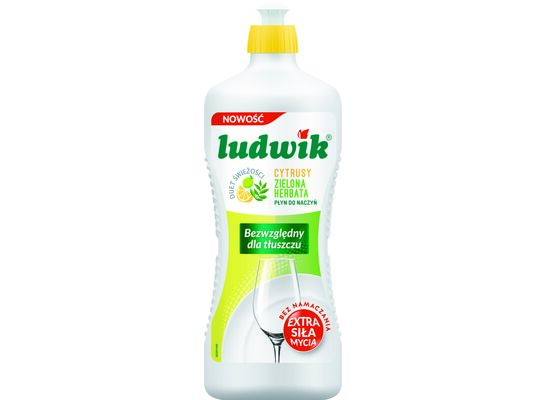 Płyn do mycia naczyń "Duet Świeżości" cytrusy z zieloną herbatą 900 g Ludwik