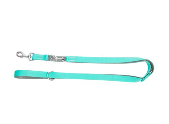 Smycz Energy Silver przedłużana z taśmy pp pojedynczej miętowo-szara 2,5 x 220 cm 14743